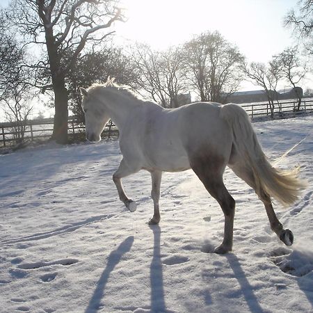 The Jockey Room Hideaway Spurstow Екстер'єр фото