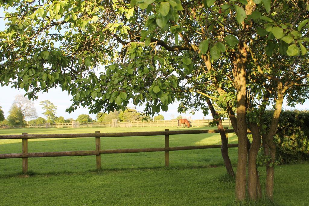 The Jockey Room Hideaway Spurstow Екстер'єр фото